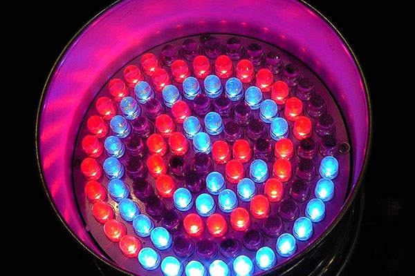 Tactile and self-healing robot is becoming a reality